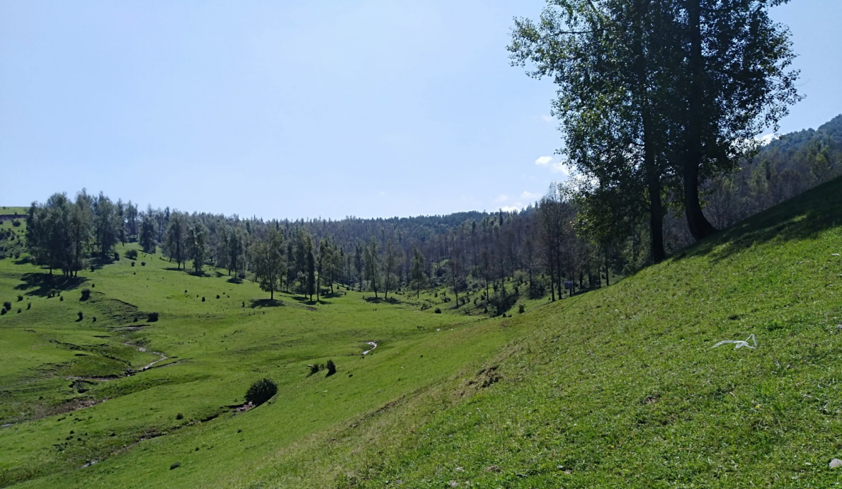 草长沟--大桦梁纯玩 1 日游